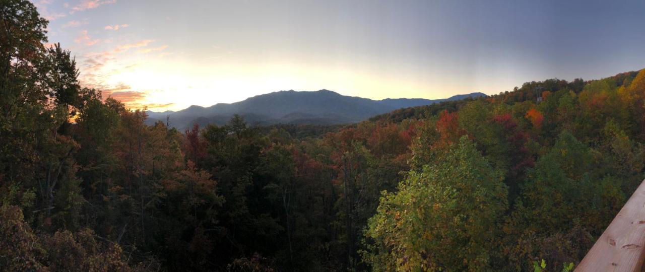 Heavenly View - Bear Themed Cabin, Hottub, Dog-Friendly, Near Gatlinburg Kültér fotó